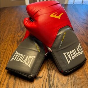 Everlast Evershield Bag Boxing Gloves 12oz Red Gray Black for Training